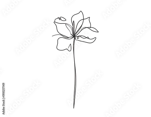 Simple line drawing of a flower.