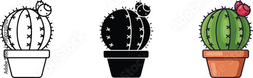 Cactus plants in pots with flowers blooming beautifully