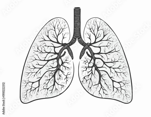 A black and white graphic illustration of human lungs with intricate treelike branching bronchi.