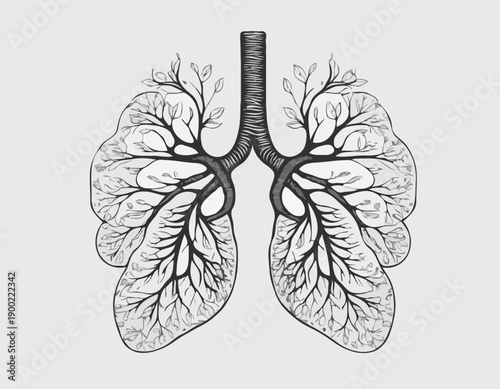 A black and white graphic illustration of human lungs with intricate treelike branching bronchi.