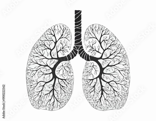 A black and white graphic illustration of human lungs with intricate treelike branching bronchi.