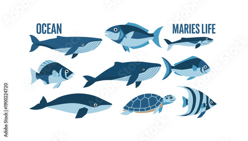 Adobe Illustrator Artwork