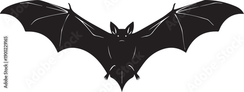 a black silhouette of a bat with outstretched wings