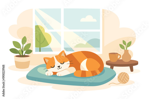 Cat lies on a blue mat by the window with sunlight shining in and plants nearby in a cozy indoor space