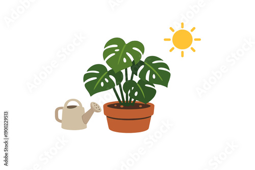 Watering a plant indoors with sunlight shining on a pot, representing care and growth in a home setting during daytime