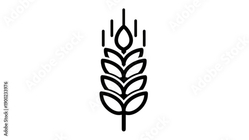 A simplified, black outline depiction of a wheat stalk, on a white background