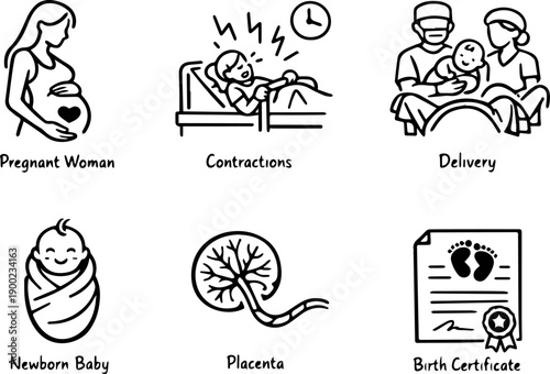 Pregnancy and Birth Vector Line Icon