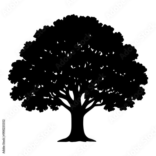 Schilderij op canvas Illustration of silhouette of a broadleaf deciduous tree with a full, rounded ca