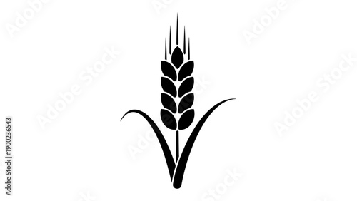 Black silhouette of a wheat stalk, including head and leaves, set against a white background