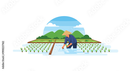 Asian farmer in conical hat planting rice seedlings in flooded paddy fields with green mountains background