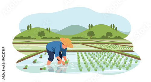 Asian farmer in straw hat meticulously planting green rice seedlings in flooded paddy field with mountains