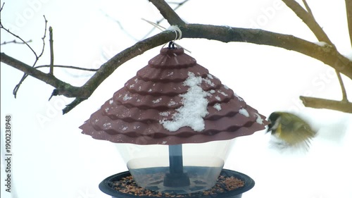 A titmouse eats seeds and bird food from a plastic feeder, against a snowy background, close-up