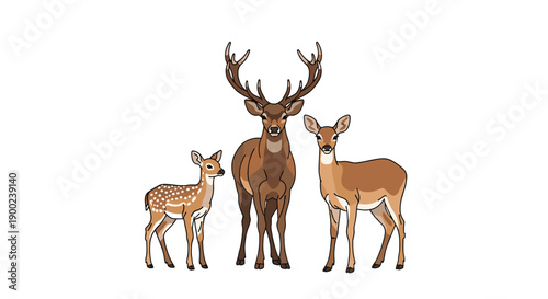 Deer family standing together, a majestic stag, graceful doe, and cute fawn in a naturalistic, simple illustration