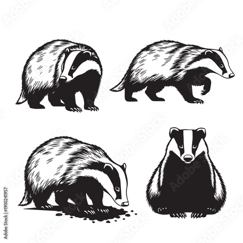Badger Silhouette Vector Set
Badger Black and White Vector Illustration
Badger Animal Silhouette Icon Set