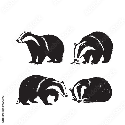 Badger Silhouette Vector Set
Badger Black and White Vector Illustration
Badger Animal Silhouette Icon Set