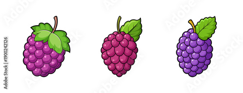 Cartoon style Three colorful clusters of grapes with green leaves on a transparent background in a vector graphic illustration