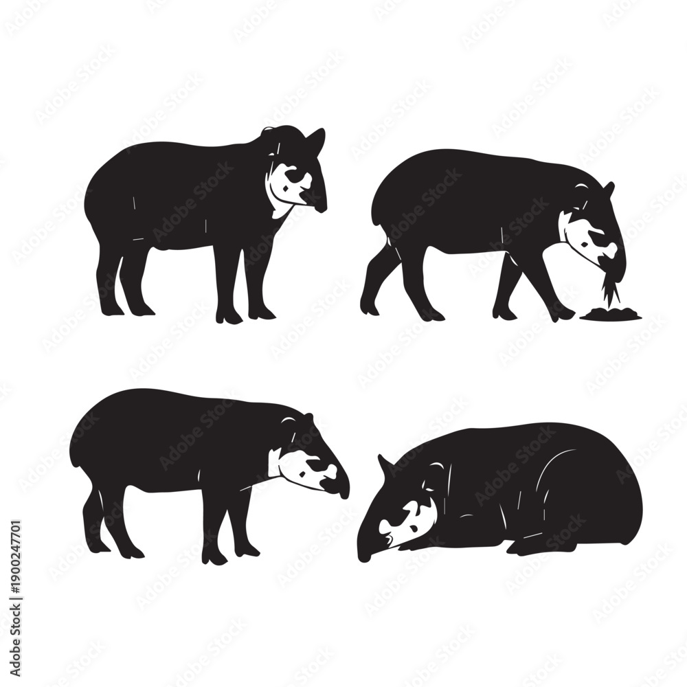 Fototapeta premium Tapir Silhouette Vector Set, Tapir Animal Black and White Illustration, Tapir Silhouette Collection