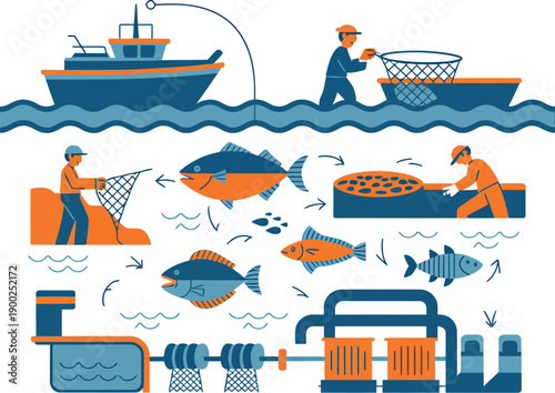 An illustration depicting the process of fishing and fish processing from catch to production line
