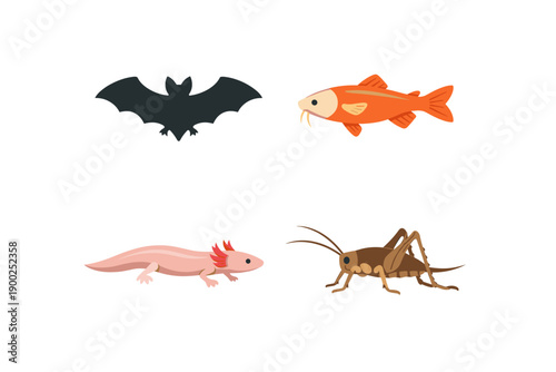 Wildlife Animal Vector Set – Bat Silhouette, Orange Goldfish, Axolotl and Grasshopper Isolated Illustration