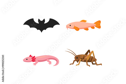 Flat Animal Set Vector Illustration – Bat, Goldfish, Axolotl and Grasshopper Isolated on White Background