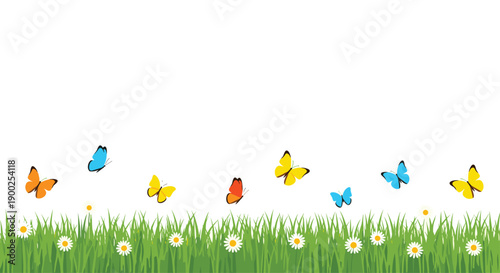 Horizontal strip of green grass with small white flowers, featuring colorful flying butterflies, depicting spring on