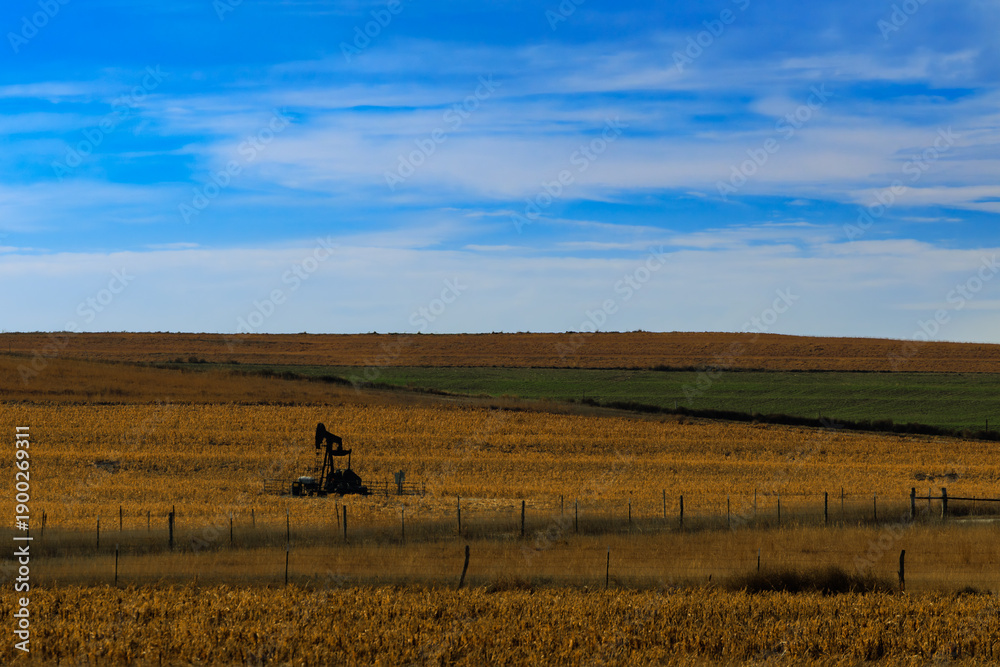 Obraz premium Kansas pasture with blue sky