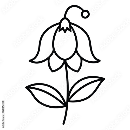 Photos christmas aconite line art on white background