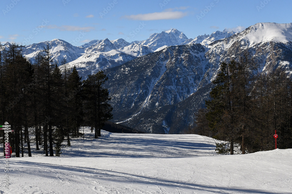 Fototapeta premium Group of people skiing and snowboarding down a ski slope in Montgenevre, French ski resort. Beautiful treelined piste and snowcapped winter mountains in the Provence-Alpes-Côte d'Azur region, France.
