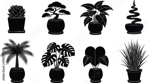 Collection of black silhouettes featuring various indoor houseplants in decorative pots including bonsai monstera palm and succulent isolated on white background