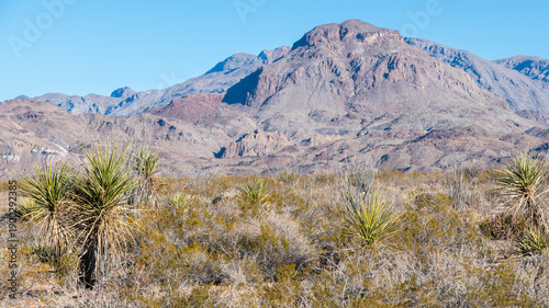 A panorama of the Chihuahuan Desert in Big Bend National Park