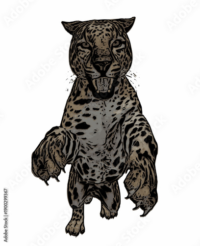 Colored leopard standing aggressively with raised paw, detailed wildlife vector illustration isolated on white background.
