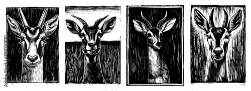 Set of four linocut style antelope and gazelle portraits with horns