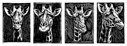 Set of four decorative giraffe portraits in black and white linocut style