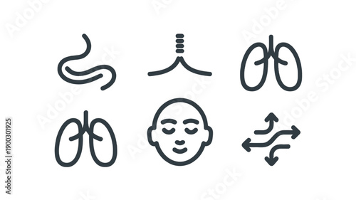 Anatomy icon set design.