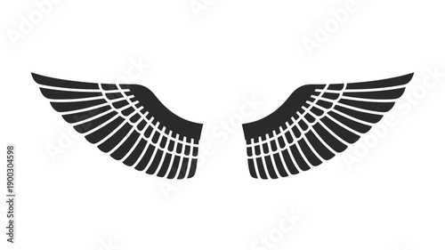 A symmetrical black and white illustration of a pair of spread wings