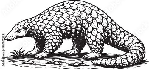 Sunda Pangolin Walking on Forest Floor Southeast Asia Conservation Illustration for Wildlife Packaging