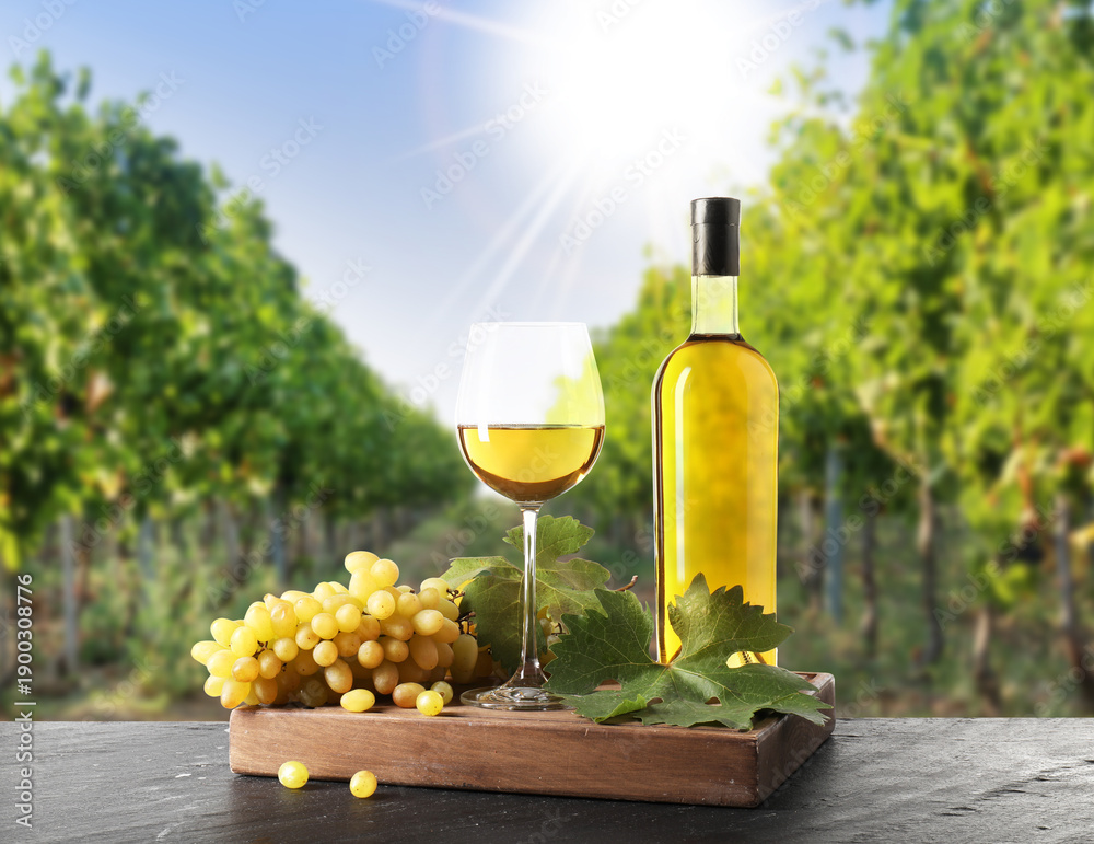 Naklejka premium Wine and fresh grapes on table. Glass and bottle in vineyard
