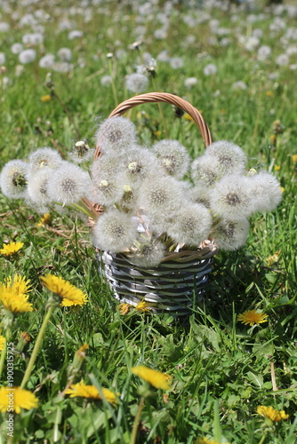 basket of flowers