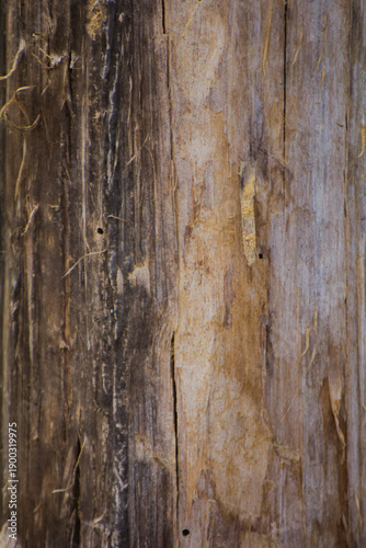 Dark wooden background and texture