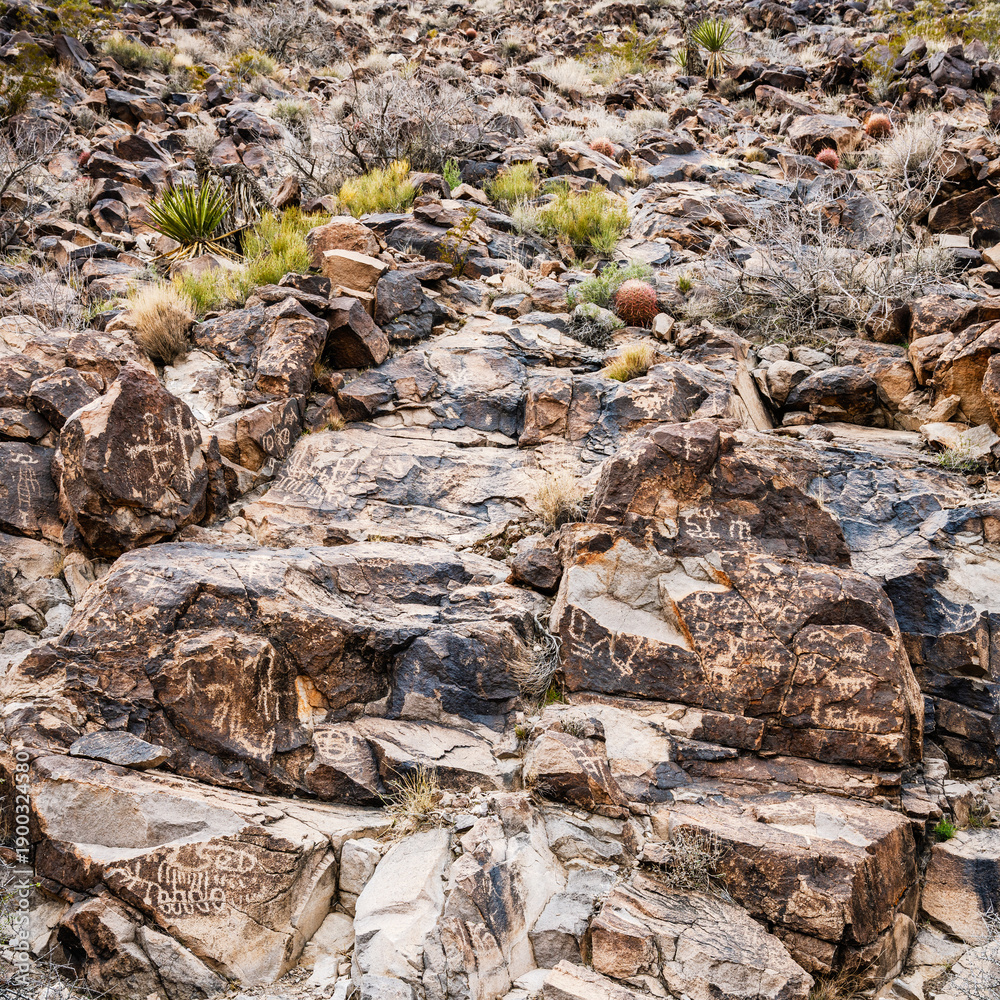 Fototapeta premium Petroglyph trail