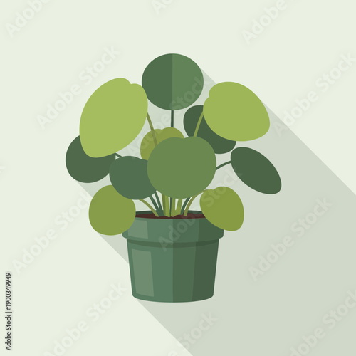 Chinese Money Plant in Pot, Flat Design with Shadow