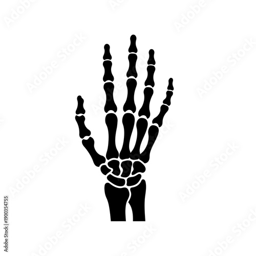 Black Skeleton Hand Illustration Isolated on White Background.