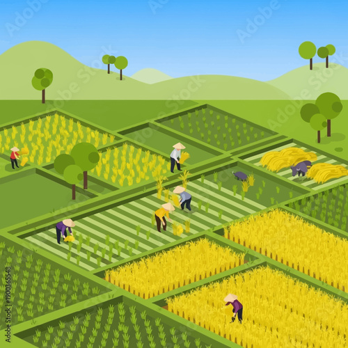 Farmers working in a rice paddy field with lush green crops.