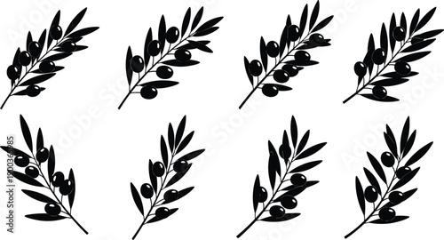Set of black olive branch silhouettes with leaves and fruits, mediterranean nature elements for organic food packaging and peace symbols