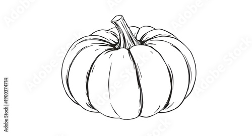 pumpkin, squash, gourd, vegetable, autumn, fall, harvest, halloween, thanksgiving, seasonal, orange, round, ribbed, stem, leaf, organic, natural, farm, garden, rustic, handdrawn, sketch, doodle, outli