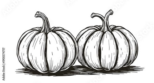 pumpkin, squash, gourd, vegetable, autumn, fall, harvest, halloween, thanksgiving, seasonal, orange, round, ribbed, stem, leaf, organic, natural, farm, garden, rustic, handdrawn, sketch, doodle, outli