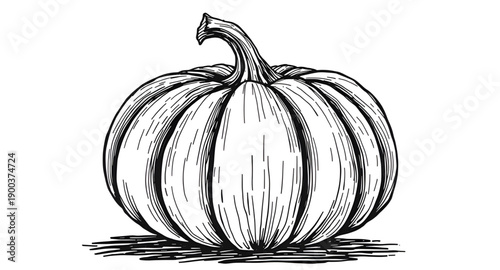 pumpkin, squash, gourd, vegetable, autumn, fall, harvest, halloween, thanksgiving, seasonal, orange, round, ribbed, stem, leaf, organic, natural, farm, garden, rustic, handdrawn, sketch, doodle, outli
