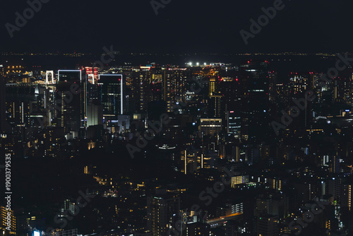 Tokyo Tower, Tokyo, Shiba-koen in Minato City, Japan, night aerial view of Japan Radio Tower with rooftops and skyscrapers, seen from the Roppongi Hills observation deck in a twilight and evening sky