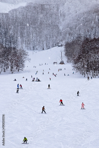 Winter scene at Nagano ski resort featuring a chairlift, snow-covered trees, and active tourists