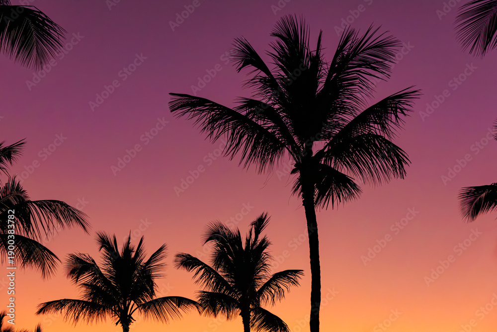 Fototapeta premium Bright colorful sunset sky in tropical hot climate, black silhouettes of palm trees with leaves on the background of orange and pink colored sky.